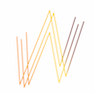 Wagner Society NSW logo